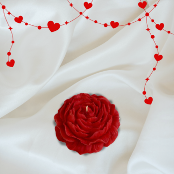 κερί παιωνία, vanelntines day